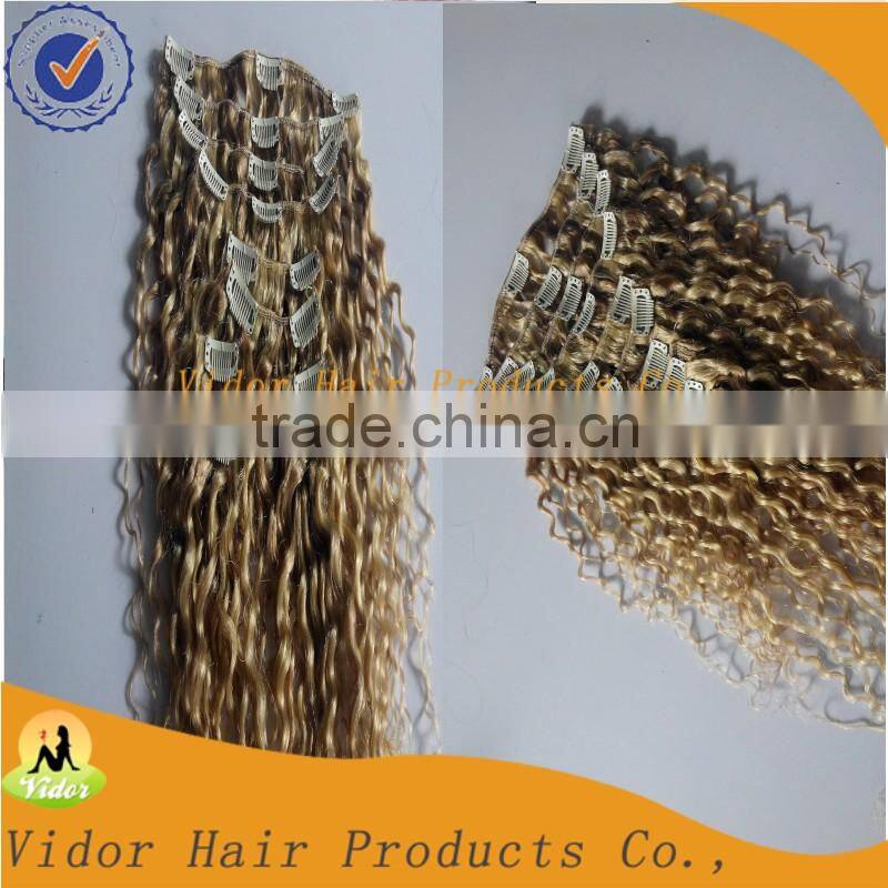 Unprocessed Virgin Brazilian Full Cuticle Afro Kinky Curly Clip On Hair Extension