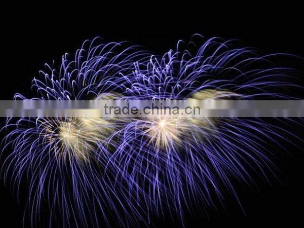 Economic hot-sale shipping fireworks