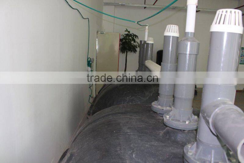 China Puxin Biogas Septic Tank for Hotel Sewage Treatment Plant
