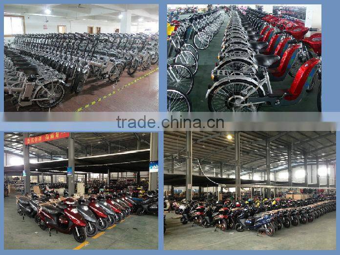 Electric 3 wheel motorcycle specialized for adults (HP-E150)