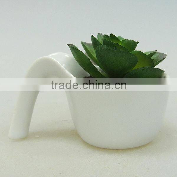 beauty plastic pot succulents for home decoration
