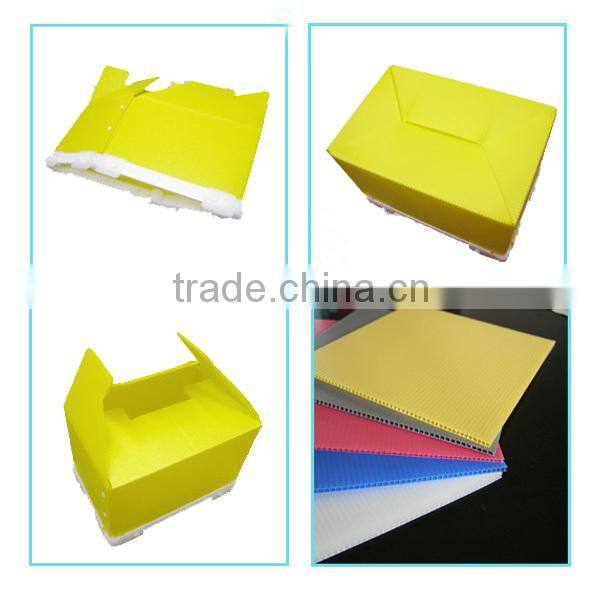 Collapsible corrugated plastic storage box