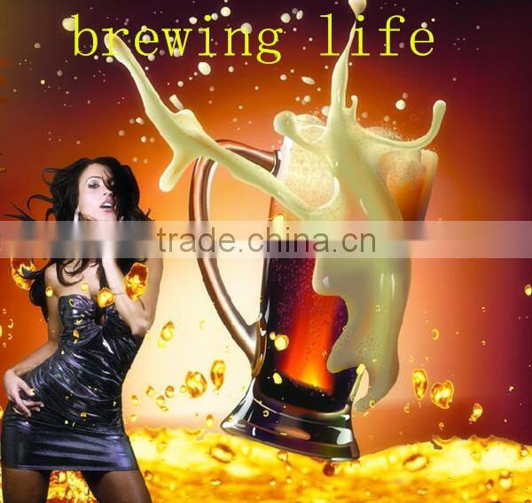 Steam heating beer brewery equipment with CE,ISO