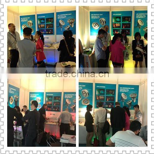 316 stainless steel IP68 DMX512 controllable RGBW 4IN1 Cree led led underwater fountain light