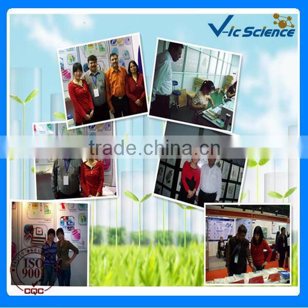 single concave microscope slides