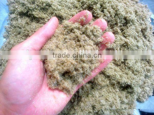 one tone per hour sawdust drying machine with engine