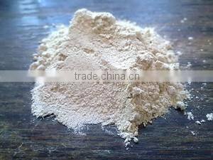 Pregelatinized Starch from Thailand