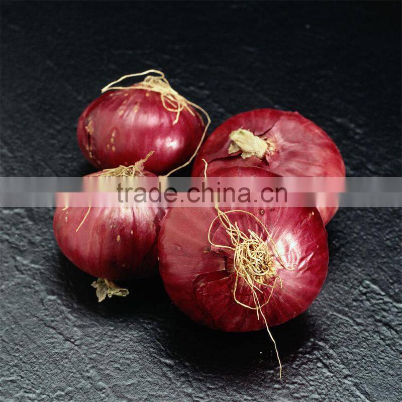 fresh Chinese red onion