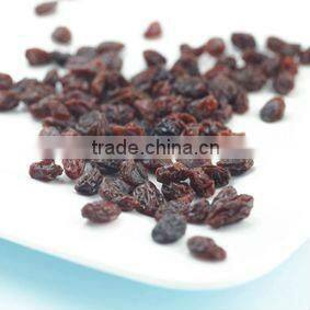 HIGH QUALITY INDUSTRIAL RAISIN