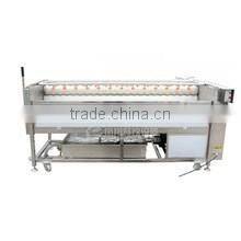 PX-1500 powerful root vegetable washing and polishing machine
