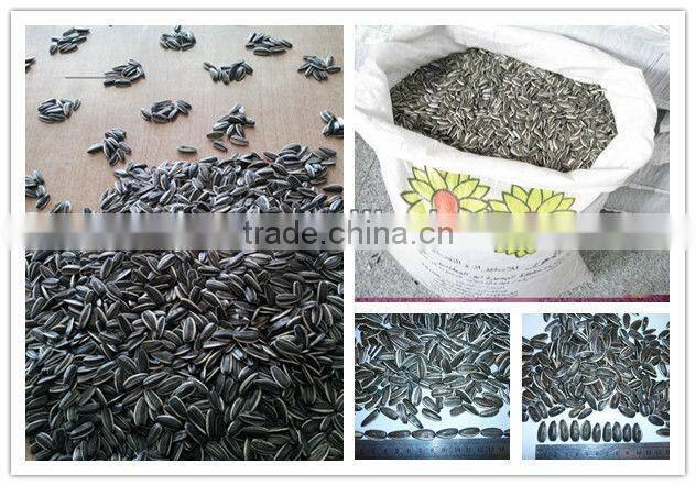 good quality sunflower seeds 5009