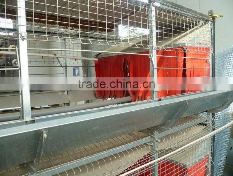 automatic chicken cage