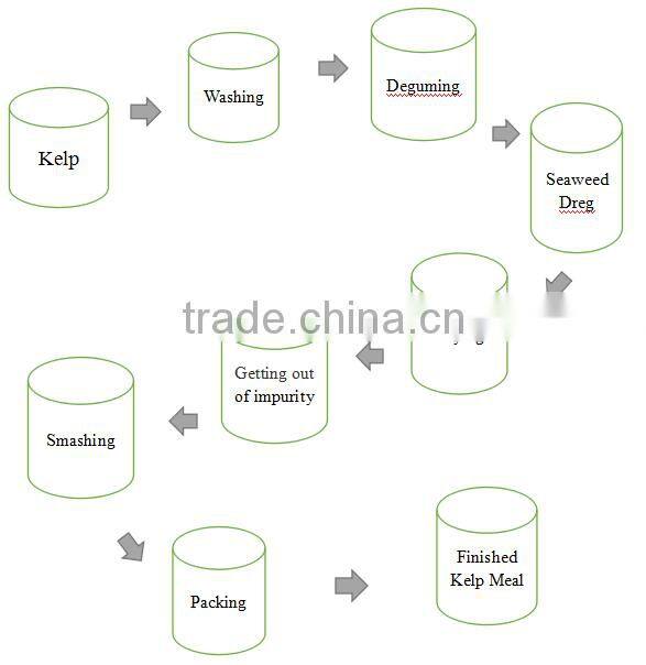 Seaweed Powder Type and Cattle,Aquatic,Horse,Chicken,Dog,Pig,Fish Use Seaweed Kelp Meal