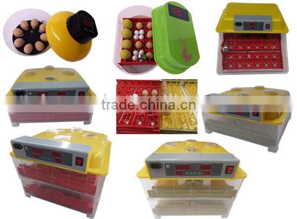 Live chicken transport box/plastic broiler transport crate