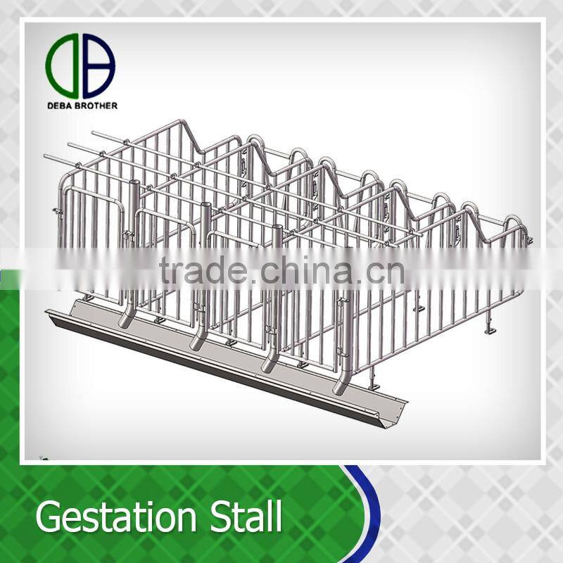 Pig Farm use custom design equipment sow pens Galvanized Pig Gestation Stall for sows