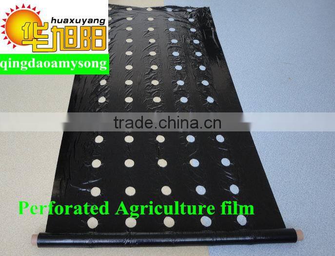 Qingdao huaxuyang supply 3 layers Blow molding perforated agricultural polyethylene sheet