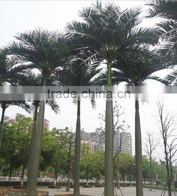 plastic fiber king coconut tree green park Artificial King Coconut Tree
