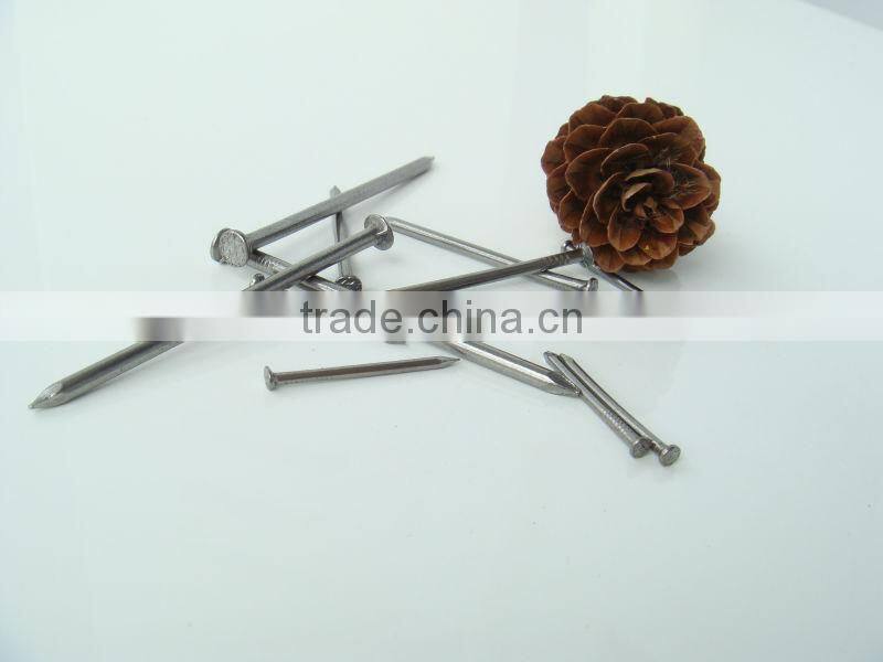 Factory manufacturer wire Carbon iron common nail