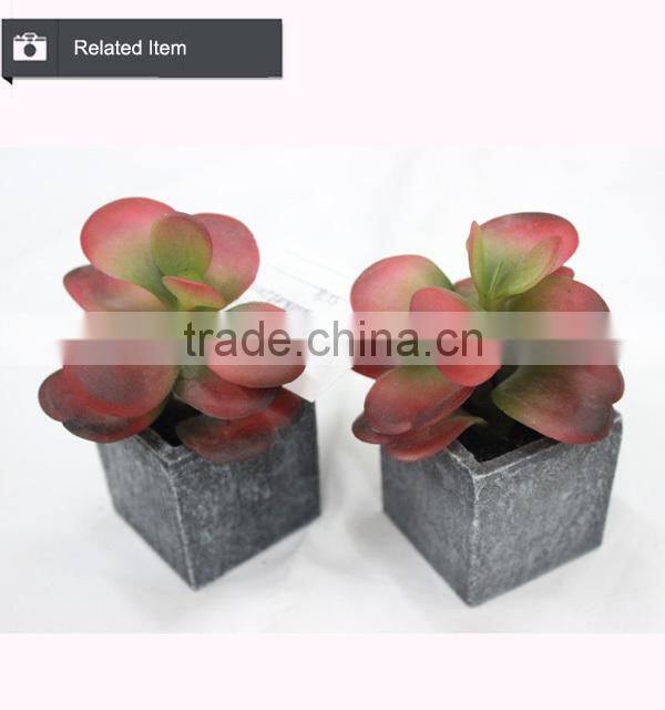 Artificial mini succulents potted succulent plant wholesale small succulent plants
