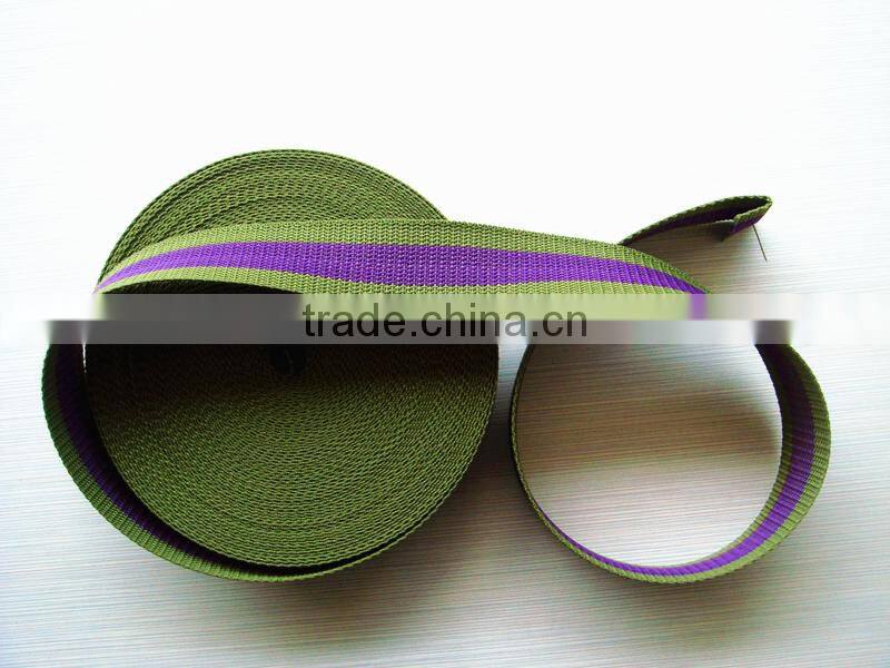 waterproofed dog leash -- polyester dog leash/collar webbing