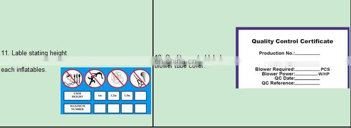 wet&dry shark inflatable combo