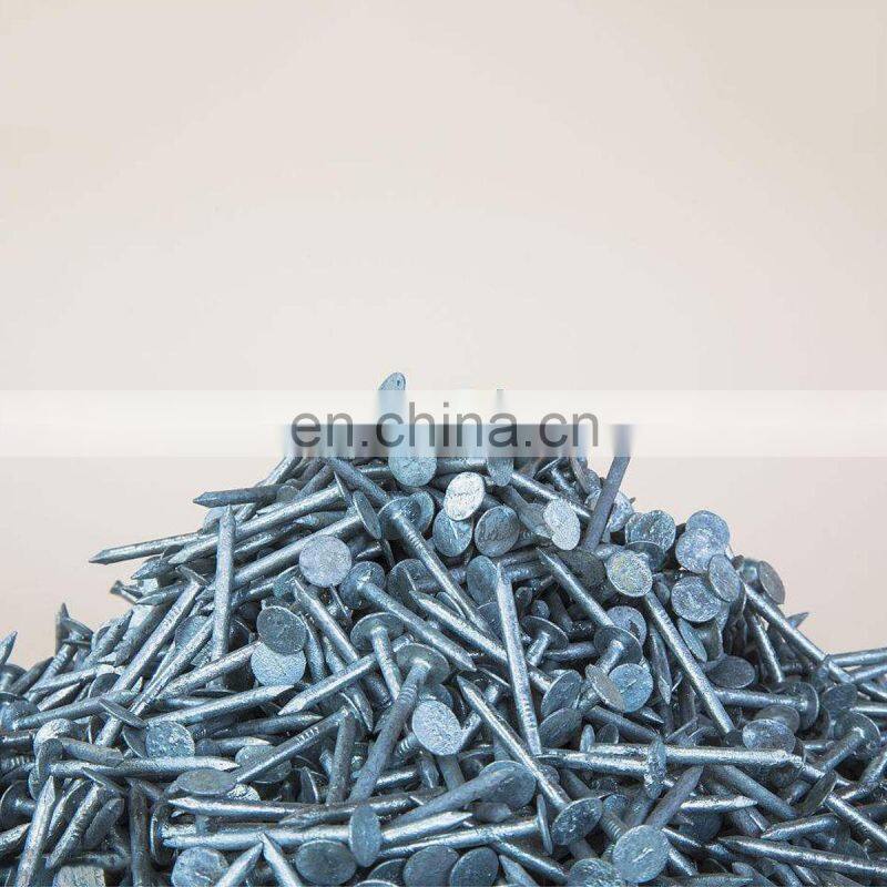 Any Head Diameter and any Shank Diameter polished or galvanized common iron nails