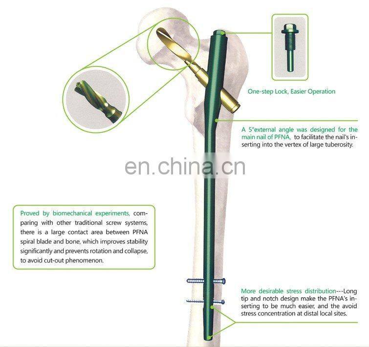 OEM orthopedic PFNA locking screws small implants