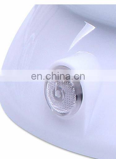2019 Hot Selling Home Skin Care Nano Spray whitening Portable Egg Lon Facial Steamer