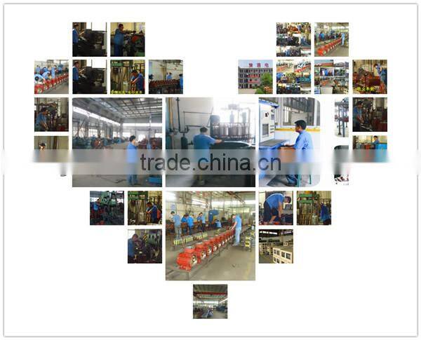 Asynchronous and Three-phase vibration motor company