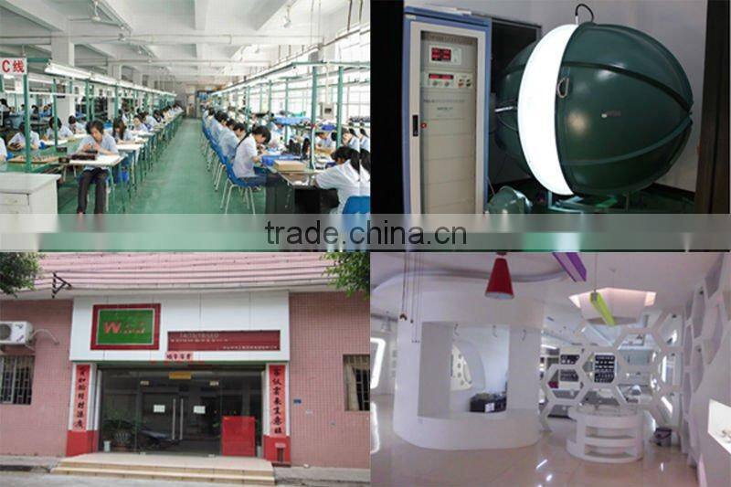 WS-LS0044 LED par light