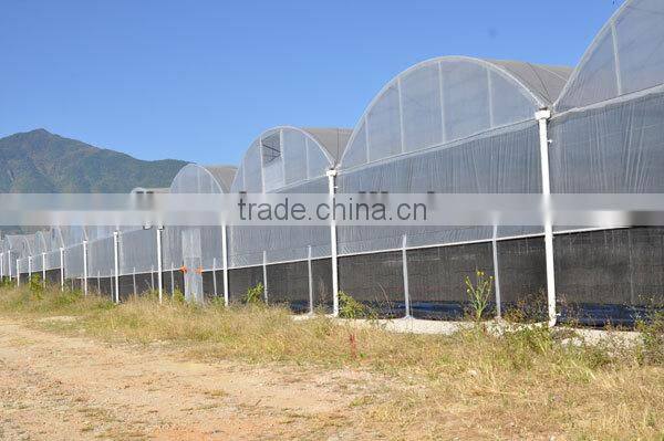 Plastic Cover Design Greenhouse
