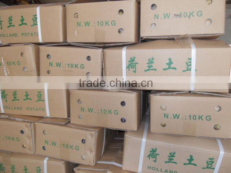 2015 Crop Chinese fresh Holland potato with best quality