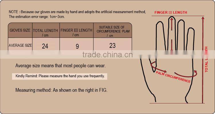 Compact men's leather gloves, fall and winter warm fashion line cycling gloves, Cold Weather Gloves