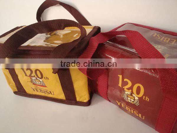 cooler bag for frozen food