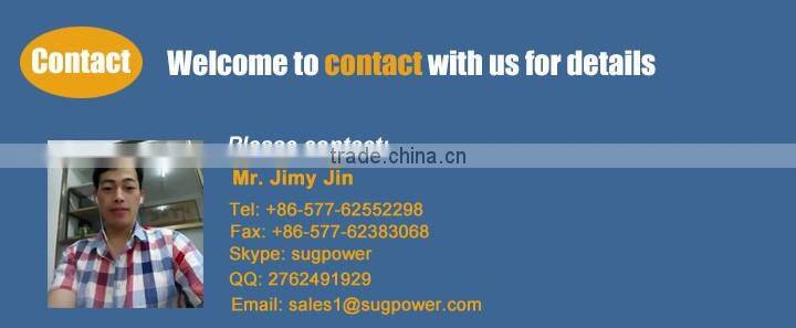 off grid frequency dc to ac 1000w pure sine wave inverter