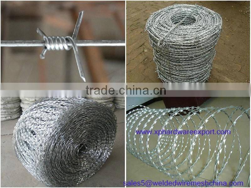 Cheap galvanized welded wire mesh for bird cage, rabbit cage, animal cage