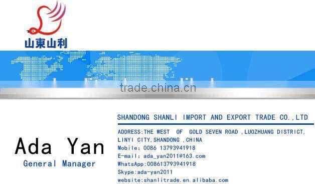 1Ply Printed Raschel Blanket/Korean Mink Blanket