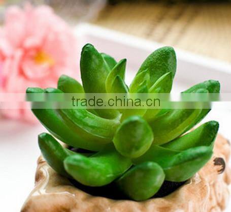 Hot-selling Artificial Conch Potted Mini Succulent Plants
