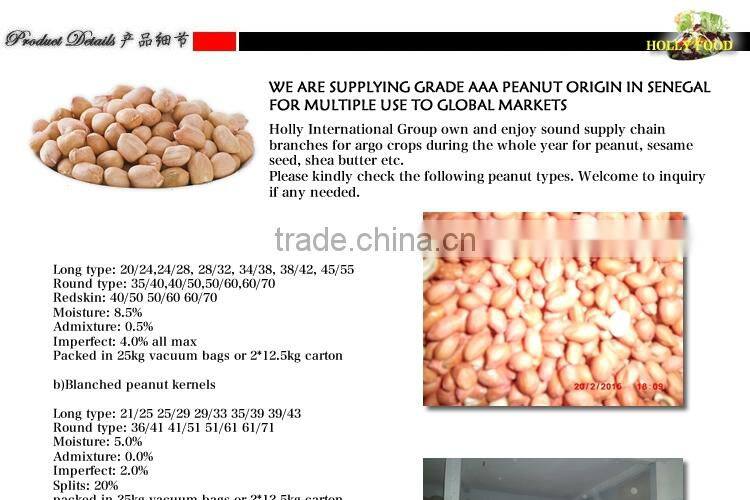 Grade AAA Senegal African Peanut Kernel premium raw blanched in shell red skin peanut butter CPT CIF CFR CHINA WORLD MARKET