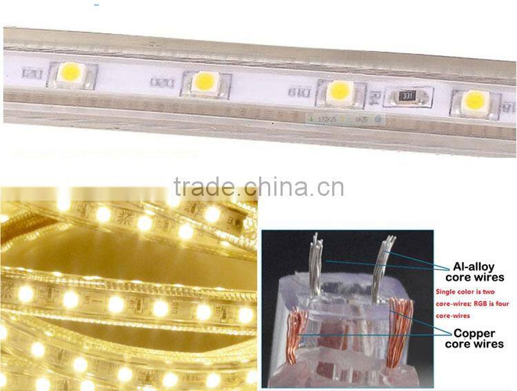 Black Color 120V 220V SMD5050 Color Changing LED Strip Light Controller with Remote Control