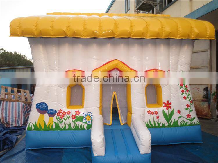 Hot-Selling Cheap inflatable bounce house/inflatable jumper for kids