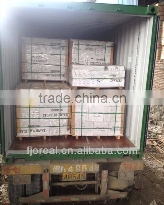 Digital Wall Tile 300x600mm for Exterior