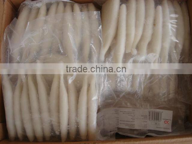 good quality frozen squid tube U3
