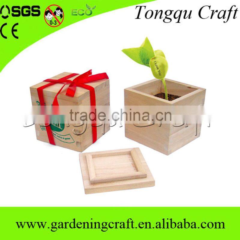 High Quality wood craft cheap creative box magic bean with words