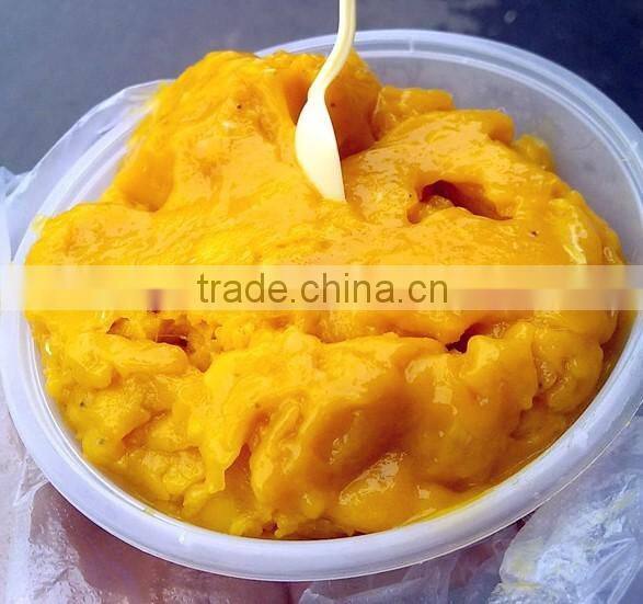 fry ice cream machine price