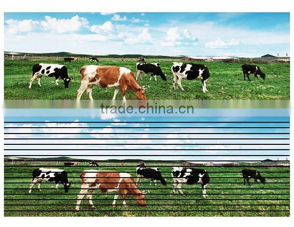 Indoor P4.81 Slim Die-Casting LED Display Screen Video Wall