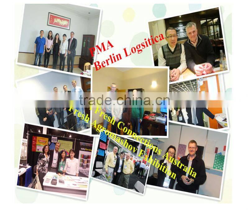 Free Sample Food Grade Polythene Expanded Foam Poly Mesh Net For Fresh Fruit Packing