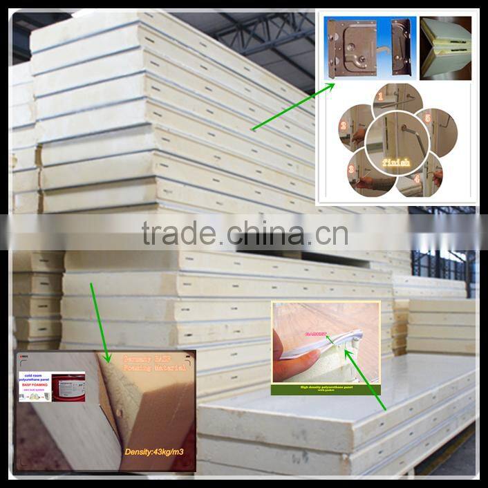 Standard Modular cold room with painted galvanized steel material