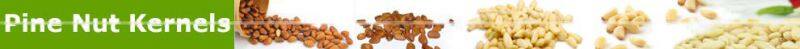 Wholesale Factory Direct Top Quality Chines Red Korean Pine Nut Kernels