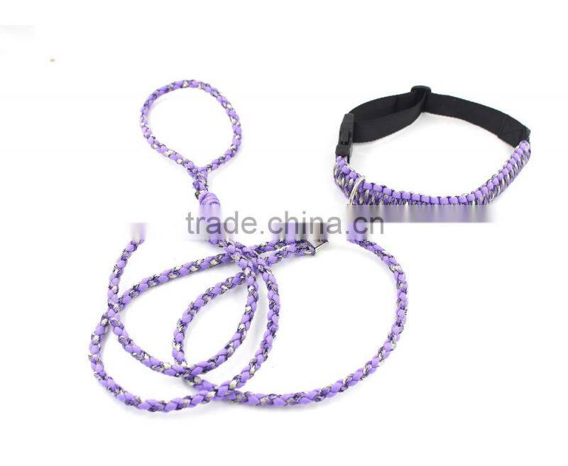 Paracord dog leash and collar